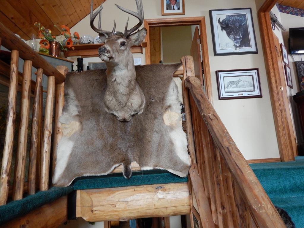 Idle Spurs Log Cabin Bed & Breakfast Black Diamond Eksteriør bilde