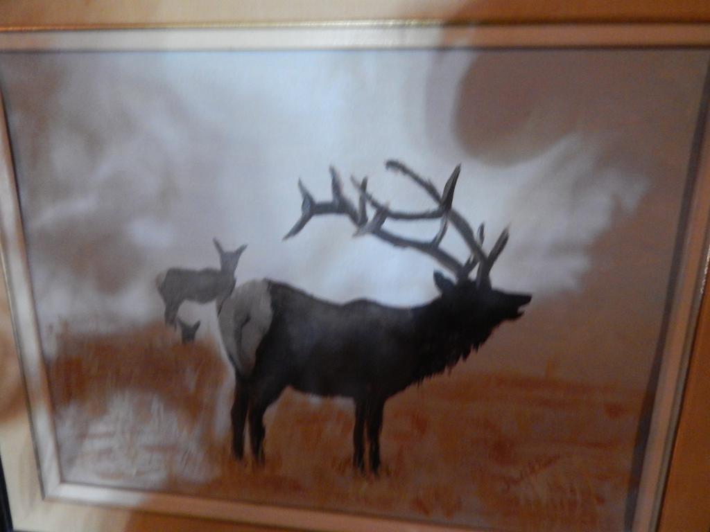Idle Spurs Log Cabin Bed & Breakfast Black Diamond Eksteriør bilde